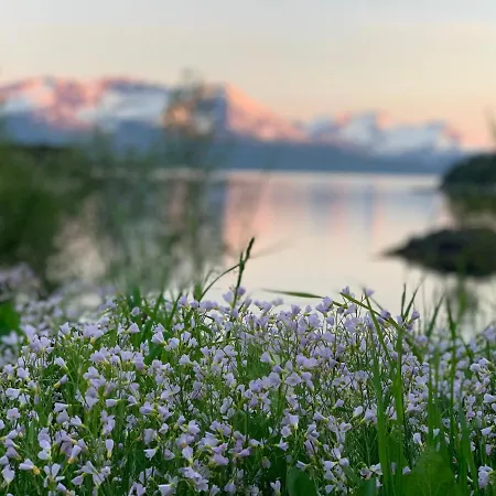 Dom wakacyjny Secluded Home, With Private *